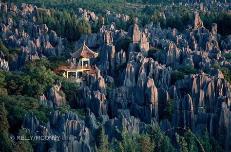 The Stone Forest In China Is a Magical Place You Usually See In Movies