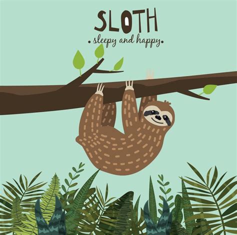 Pin by Renee Hamilton on Sloths | Sloth, Spirit animal, Animals