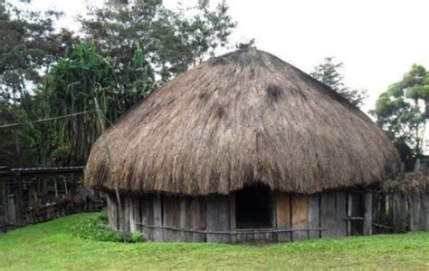 Types of Papuan Traditional Houses - Insight Papua