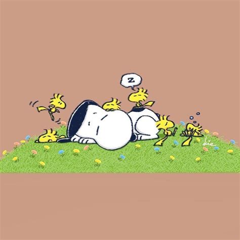 We love taking naps | Snoopy wallpaper, Snoopy cartoon, Snoopy pictures