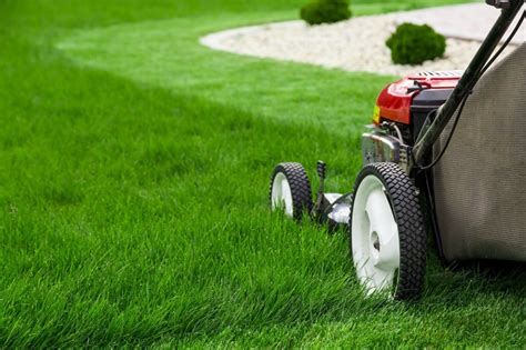 8 Ways to Make Mowing Your Lawn Easier | ThriftyFun