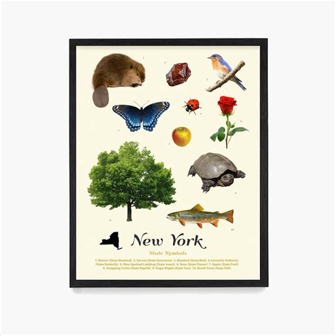 New York State Symbols Poster, New York Wall Art, New York Poster, New ...