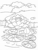 Free Printable Pond Coloring Pages sketch template
