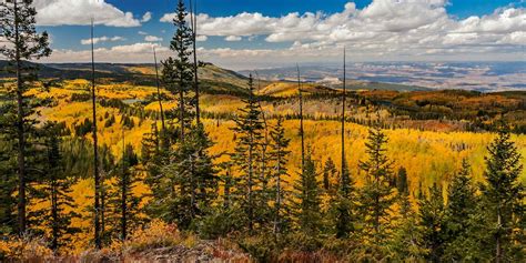 Camping near Cedaredge, Collbran and the Grand Mesa, Colorado