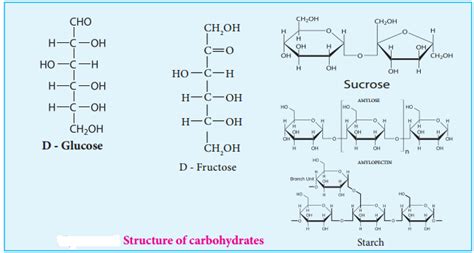 Biomolecules of Carbohydrates: