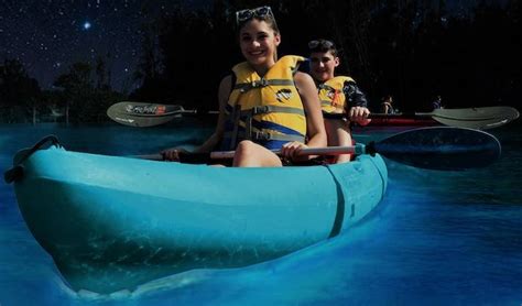 Try bioluminescence kayaking - The Tampa Bay 100