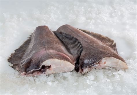 Greenland Halibut (Turbot) | Barry Group Inc