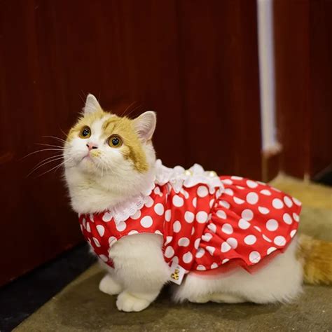 Dresses For Cats Cute Suit Thin Small Dogs Wave Pearl Clothes – CatsPros