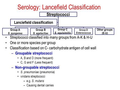 Classification of Streptococcus - Online Biology Notes