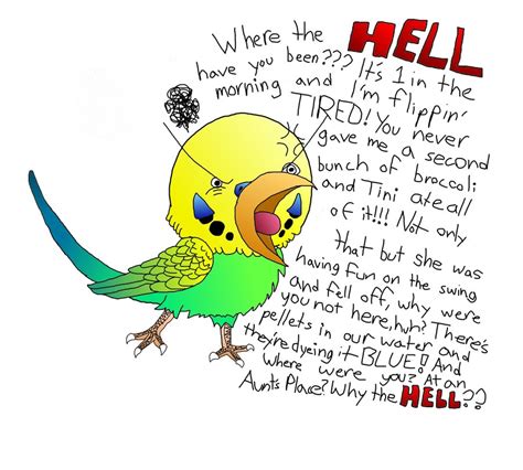 The_Angry_Budgie_by_kurochihiro33