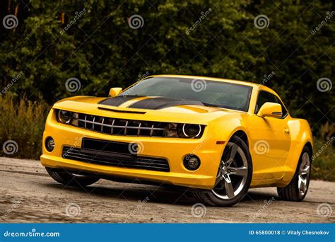 Muscle Car. Bumblebee. stock photo. Image of sports, powerful - 65800018