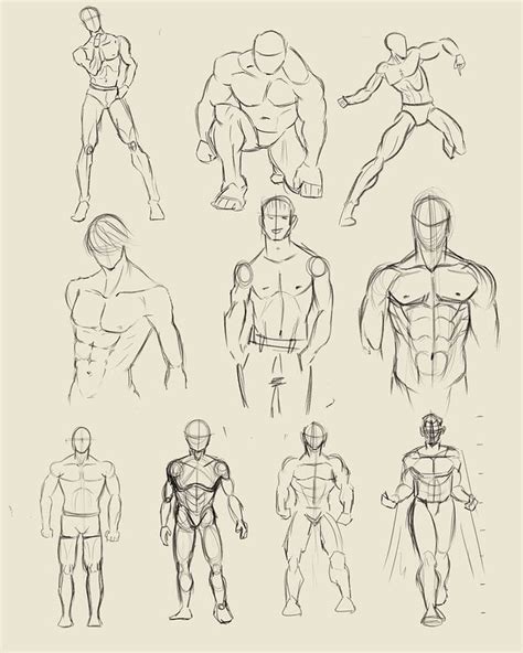 Aggregate 69+ basic anatomy sketch super hot - seven.edu.vn