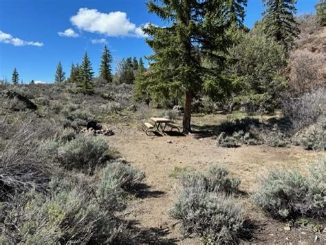 Site 14, Ponderosa Campground (CO) - Recreation.gov