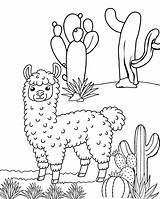 Llama Coloring Page 01  Pages sketch template
