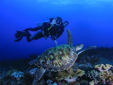 Intro diving hurghada Scuba Diving courses Hurghada