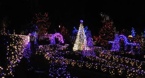 vivian - in stitches: Christmas Lights, Van Dusen Gardens