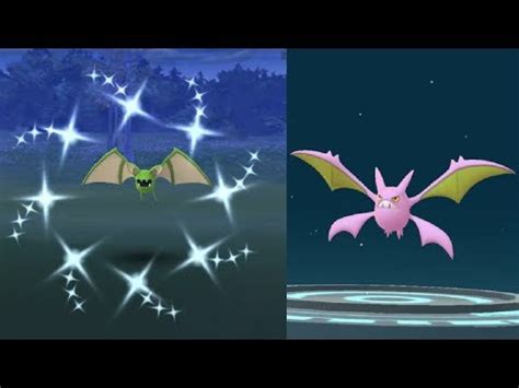 WE CAUGHT SHINY ZUBAT! POKEMON GO SHINY ZUBAT EVOLVES INTO SHINY CROBAT! - YouTube