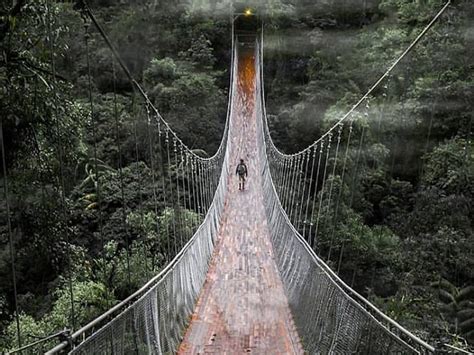 Kemolekan Jembatan Gantung Situ Gunung, Sukabumi | Tagar