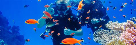 Diving Holidays: Top Destinations - HomeToGo