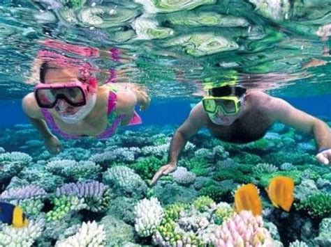 Snorkeling In Zanzibar From TourXplorer: Call Us Now