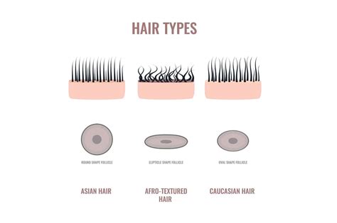 Asian Hair Vs. Caucasian Hair: How Are They Different?