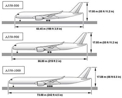 Frontiers | Evaluating personnel evacuation risks under fire scenario of Airbus wide-body ...