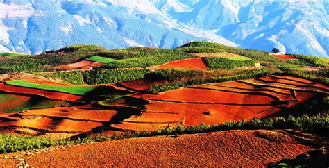 Dongchuan Red Land