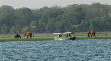 Best Resorts in Kabini | Safari Tour | Kabini Jungle Resorts | Price