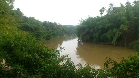 photomania: Muddy water in the river