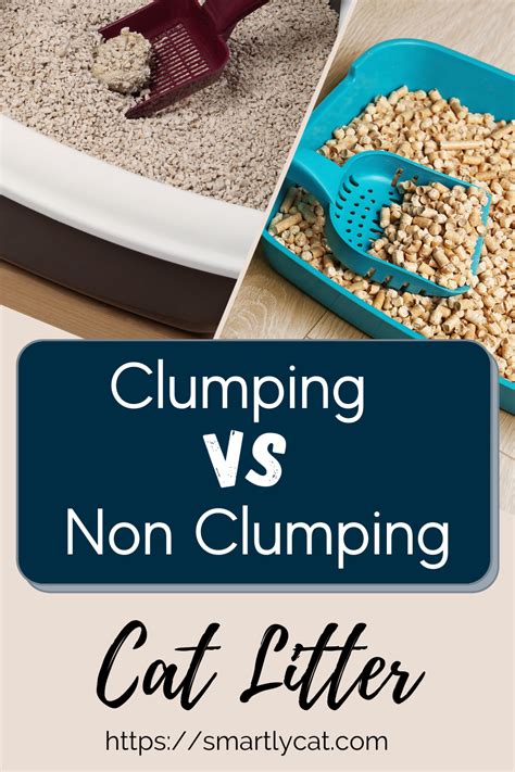 Clumping Vs Non Clumping Cat Litter | Clumping cat litter, Non clumping cat litter, Cat litter