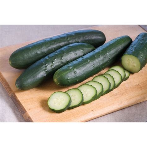 100 Pcs Japanese Cucumber Organic Seeds for Home Garden Plant