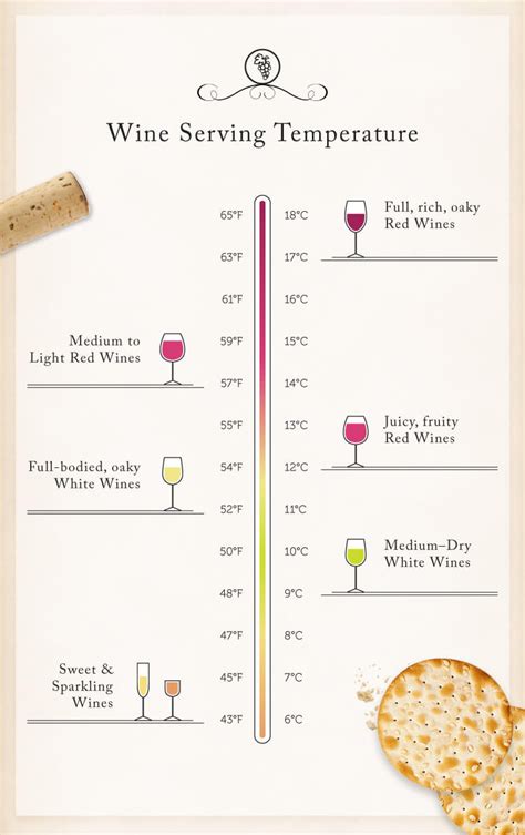 Wine Temperature Cheat Sheet Infographic | Wine etiquette, Wine temperature, Wine drinks