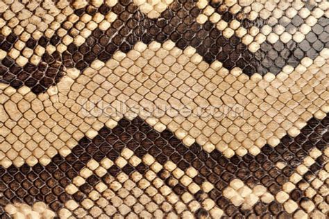 Brown Snake Skin Print Mural | Wallsauce AU