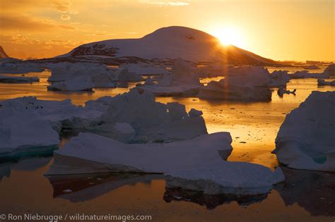 Booth Island | Antarctica | Photos by Ron Niebrugge