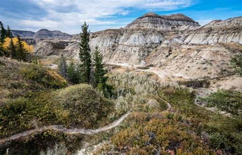 Abraham Lake Bubbles - A Guide to Visiting - Hike Bike Travel