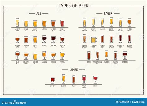 Types of Beer. Various Types of Beer in Recommended Glasses. Vector Illustration Stock Vector ...