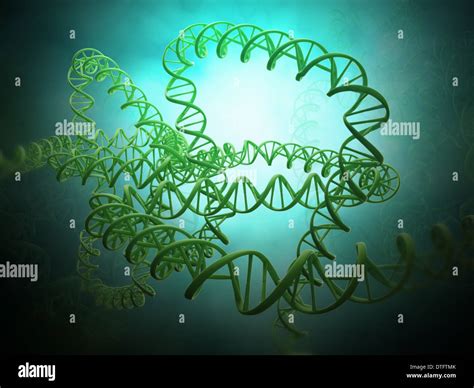 DNA strand model - genetics concept Stock Photo - Alamy