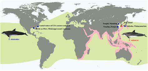 Map showing the geographic distributions of the common bottlenose ...