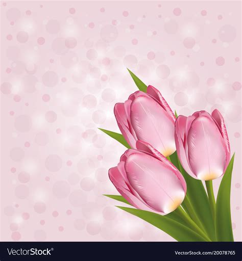 Pink tulips on a background with blurred Vector Image