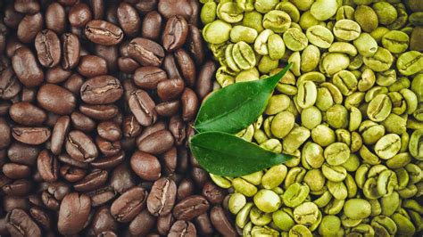 ¿El café verde ayuda a perder peso?