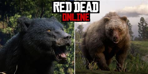 Where To Find Bears In Red Dead Online