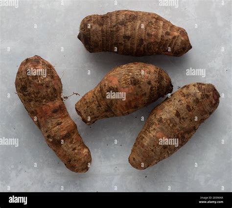 Cocoyam hi-res stock photography and images - Alamy