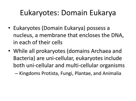 PPT - Three Domains of Life PowerPoint Presentation, free download - ID:1172219