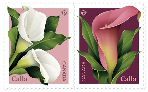 Canada Post welcomes spring with calla stamp issue | Canada Post