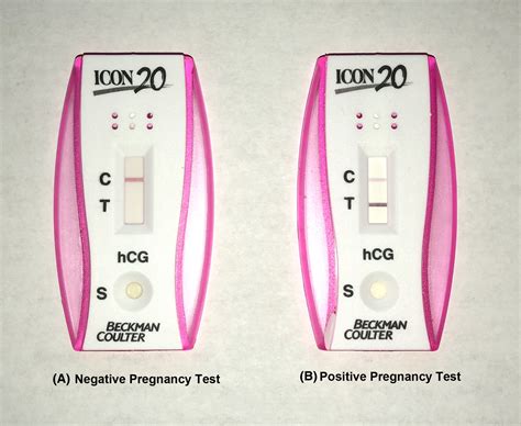 Positive Pregnancy Test Hcg