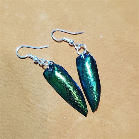 Jewel Beetle Wings - Etsy