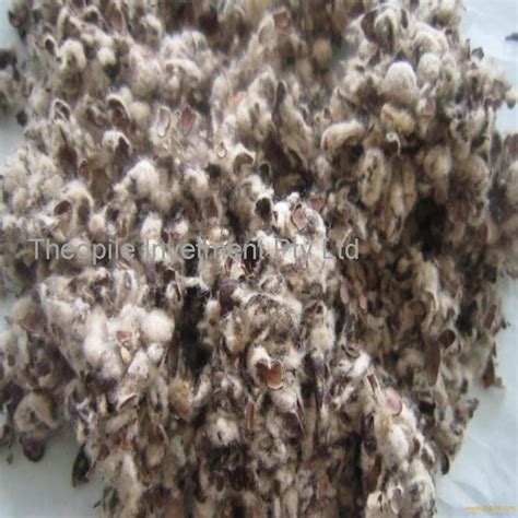 Cotton Seed Hulls of china origin products,South Africa Cotton Seed ...