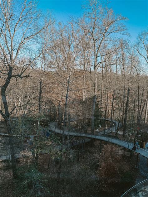 Exploring the Fernbank Museum of Natural History » Sunny Sweet Days