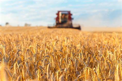 Premium Photo | Combine harvester working