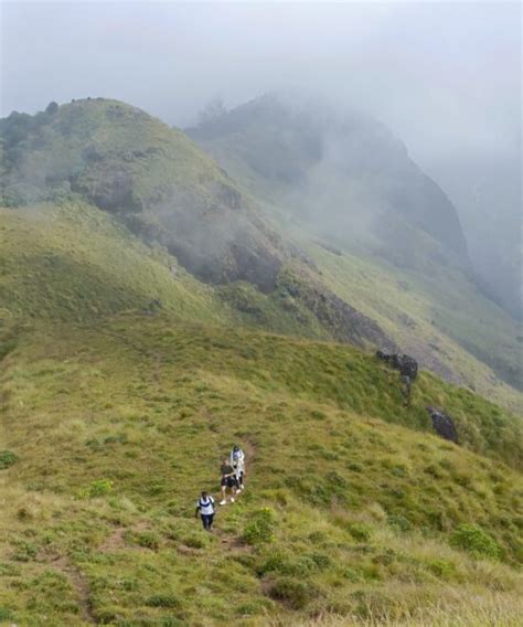 Munnar Jeep Safari | Jeep Safari in Munnar | Off Road Safari Munnar | Munnar off-road adventure ...